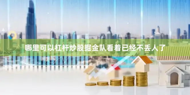 哪里可以杠杆炒股掘金队看着已经不丢人了