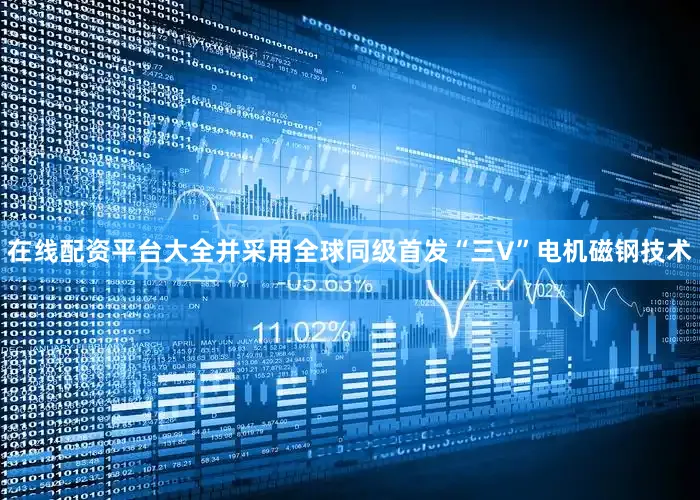 在线配资平台大全并采用全球同级首发“三V”电机磁钢技术