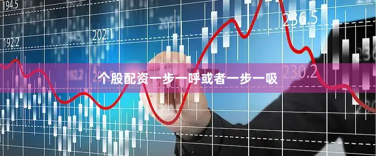 个股配资一步一呼或者一步一吸