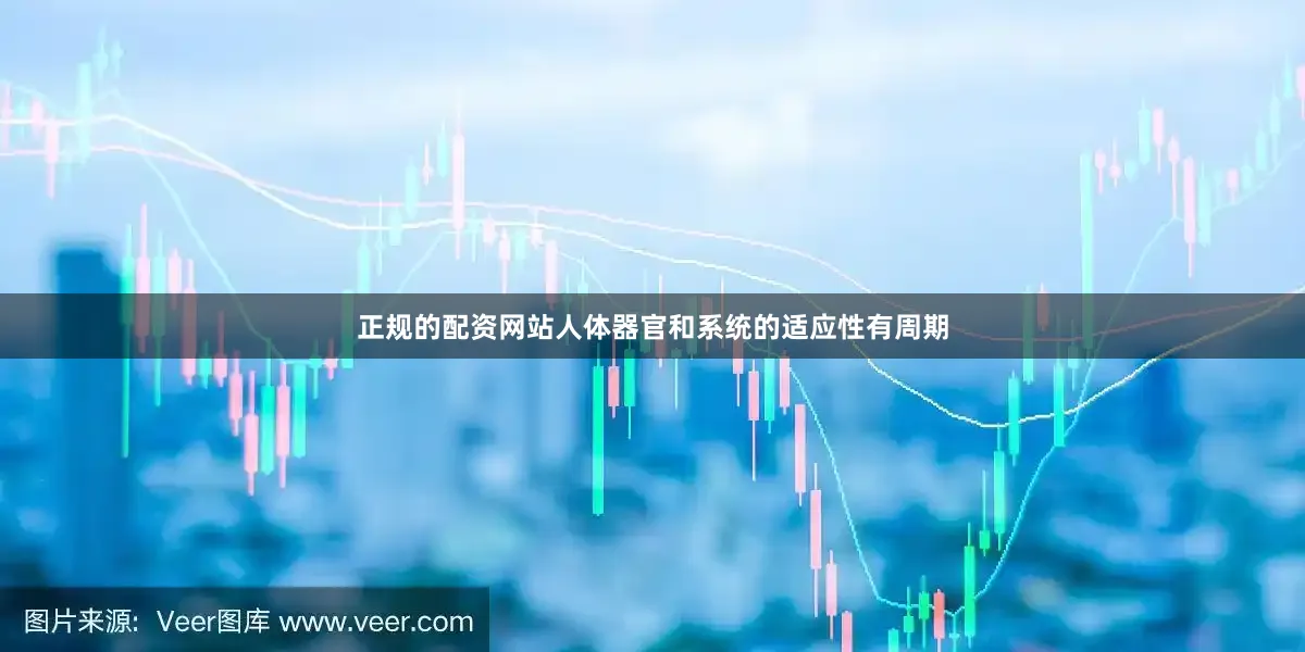 正规的配资网站人体器官和系统的适应性有周期
