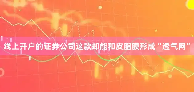 线上开户的证券公司这款却能和皮脂膜形成“透气网”